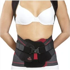 Evotec Thoracolumbosacral Attachment