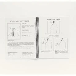 Kinesio Illustrated Kinesio Taping Book (4th Edition) -Sports Protective Gear kinesio illustrated kinesio taping book fourth edition12